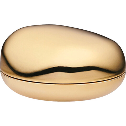 Rose de Grasse Joyful Bloom